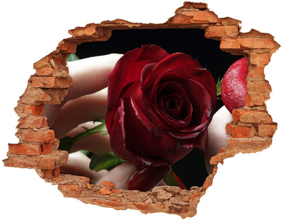 Fototapeta diera na stenu Žena s ruží