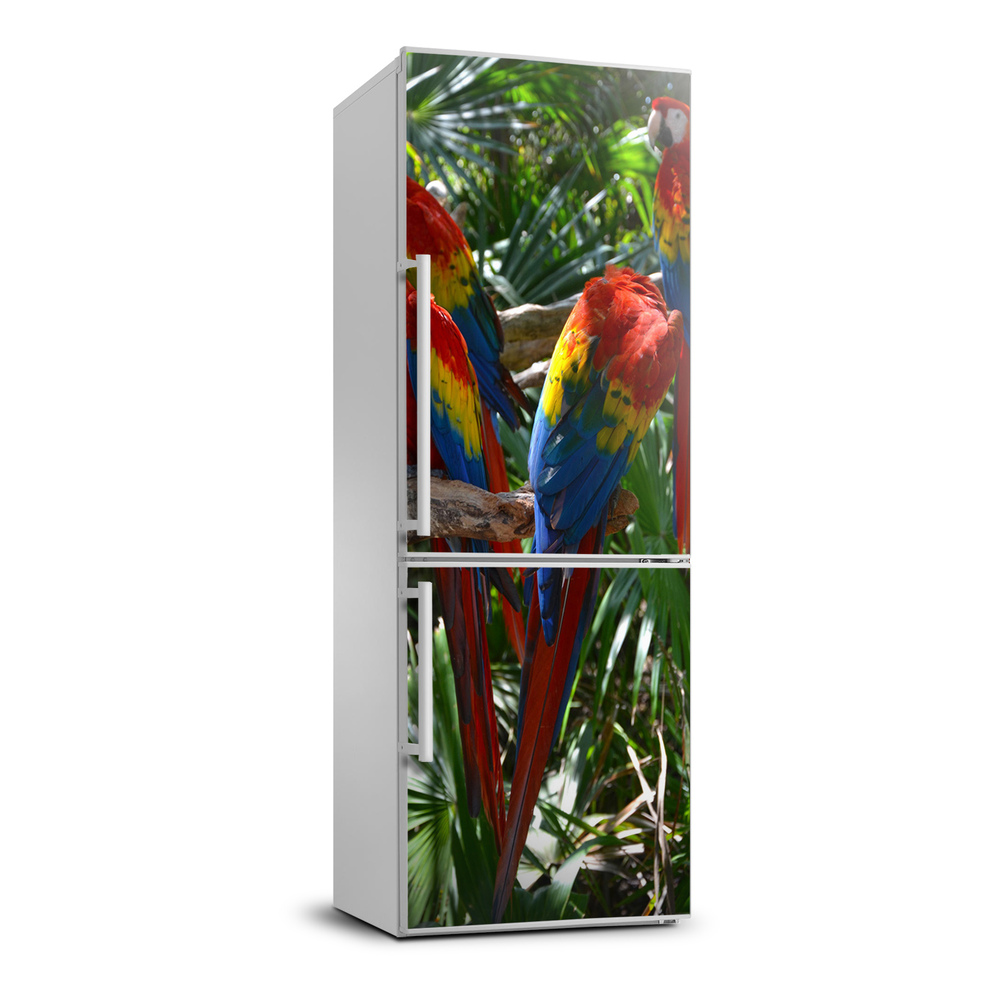 Foto nálepka na chladničku stenu Papagáje Ara