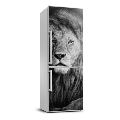 Foto nálepka na chladničku stenu Portrét leva