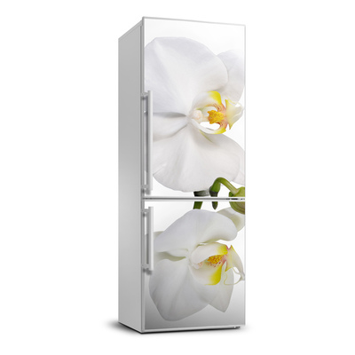 Nálepka fototapeta chladnička Biela orchidea