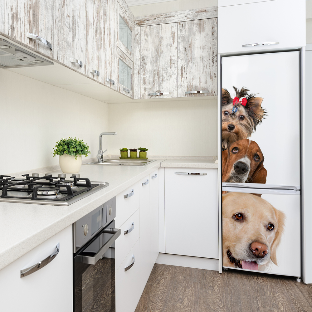 Foto nálepka na chladničku stenu Psy a mačky