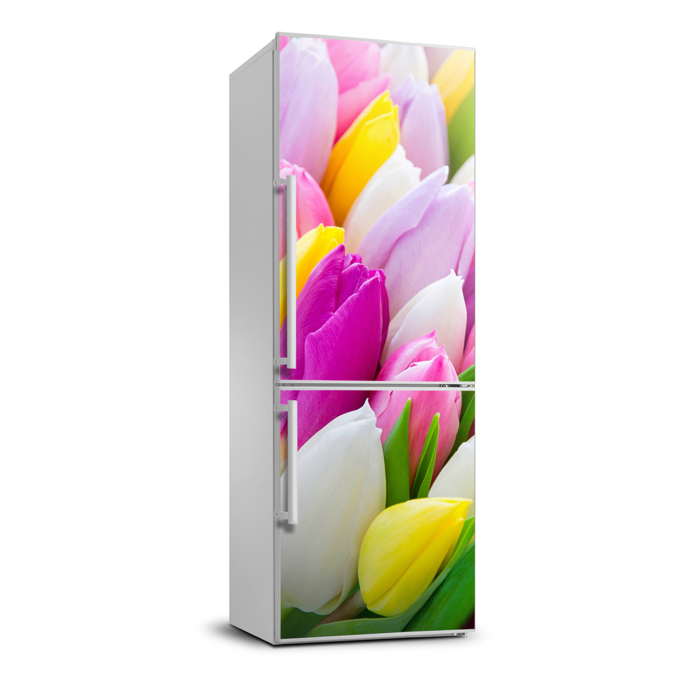 Foto nálepka na chladničku Farebné tulipány