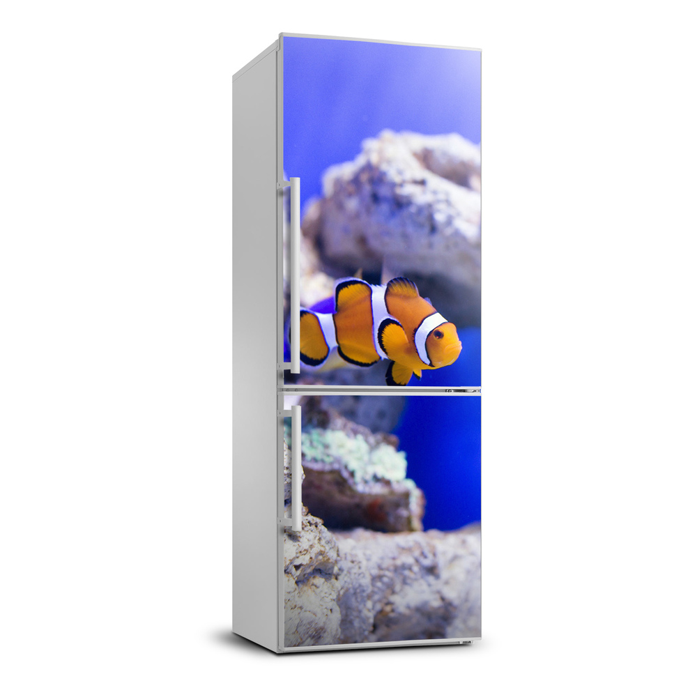 Nálepka fototapeta chladnička Ryba Nemo