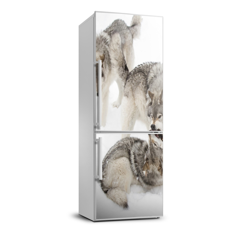 Foto tapeta na chladničku Siví vlci