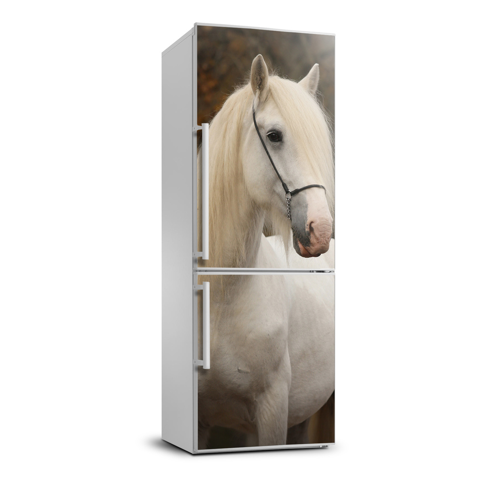 Nálepka fototapeta chladnička Biely kôň XL