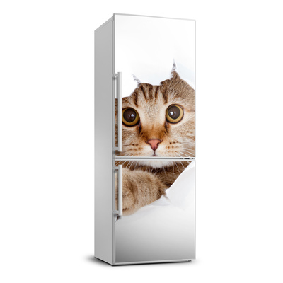 Samolepiace nálepka na chladničku stenu Mačka XL