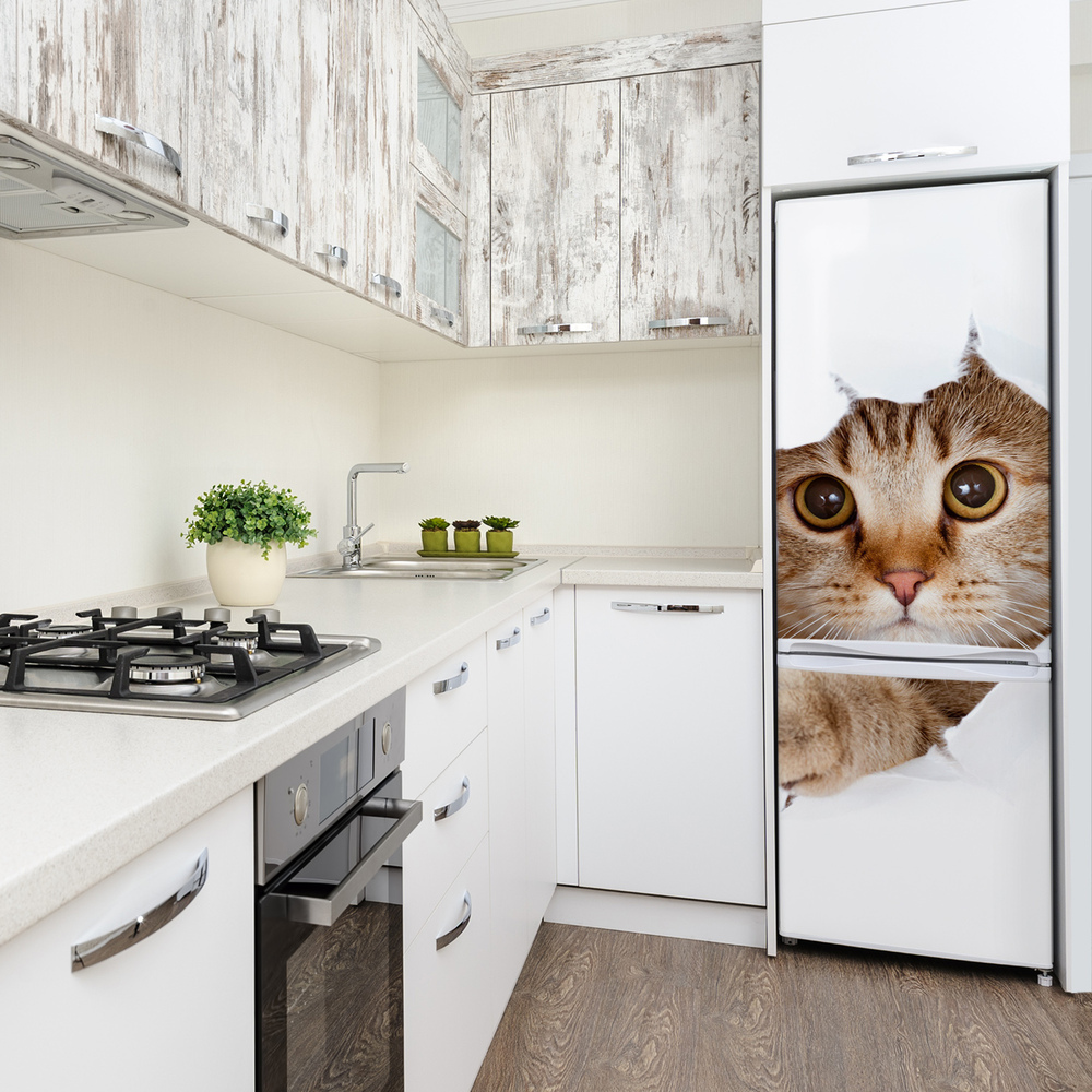 Samolepiace nálepka na chladničku stenu Mačka XL