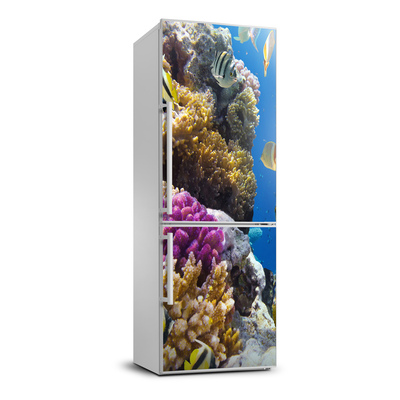 Nálepka fototapeta chladnička Koralový útes XL
