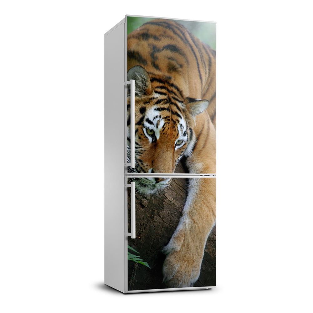 Foto nálepka na chladničku Tiger na strome