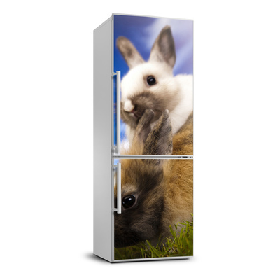 Foto tapeta na chladničku Dva králiky