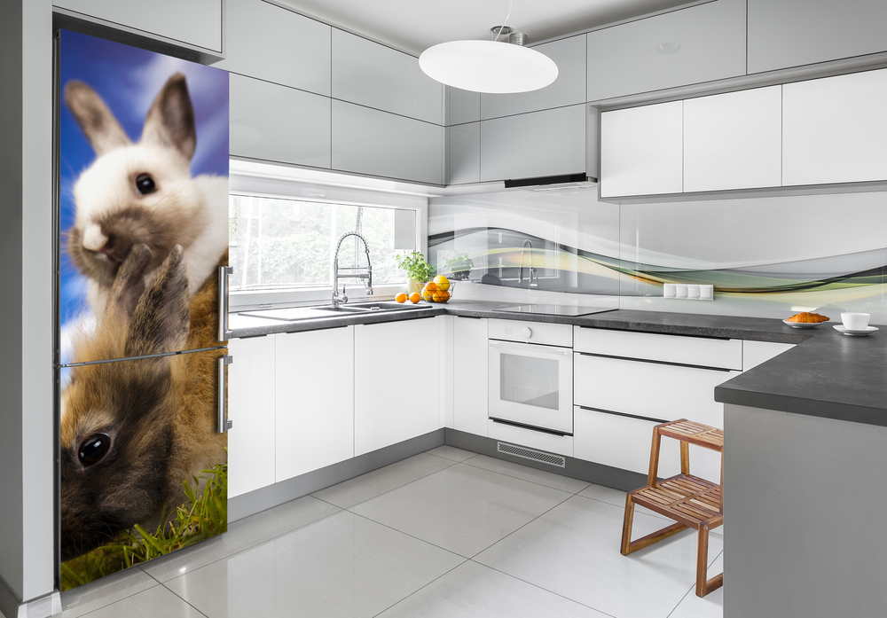 Foto tapeta na chladničku Dva králiky