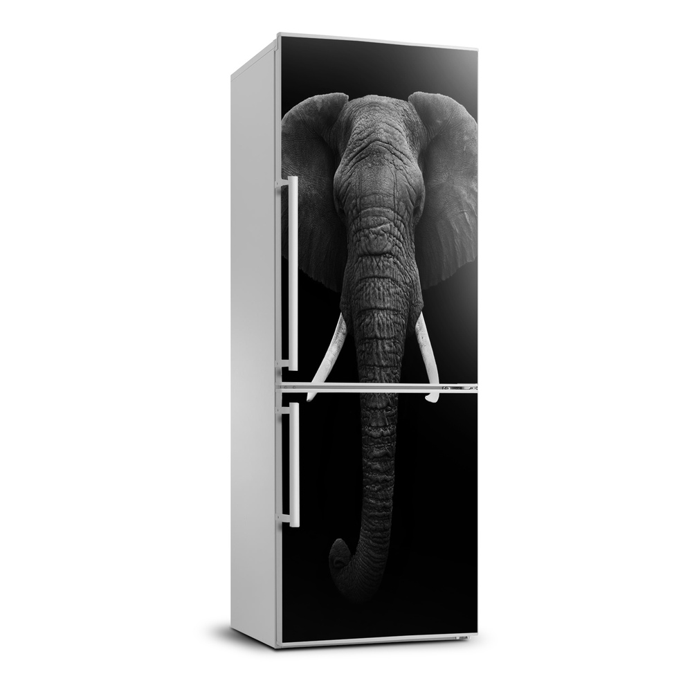 Nálepka fototapeta chladnička Africký slon