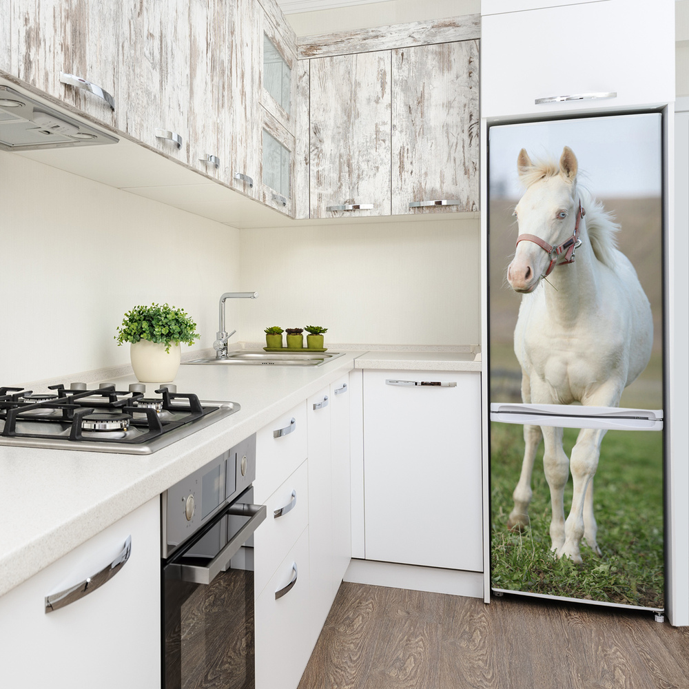 Foto tapeta na chladničku Kôň albín