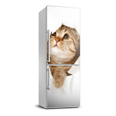 Samolepiace nálepka na chladničku stenu Mačka