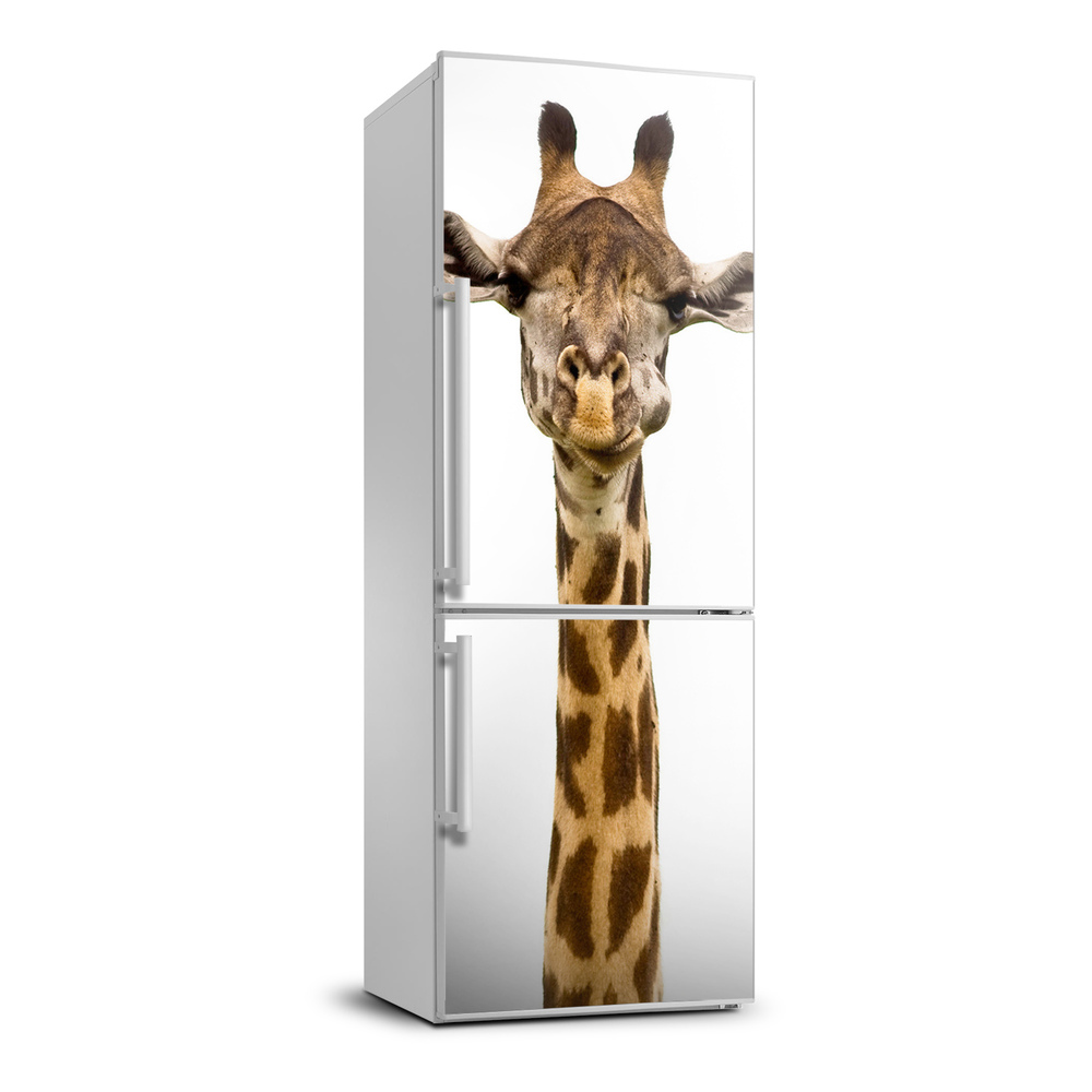 Nálepka fototapeta chladnička Žirafa