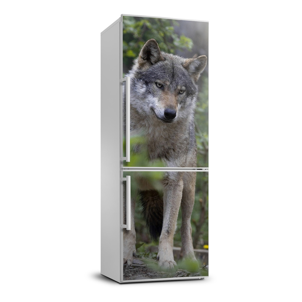 Samolepiace nálepka na chladničku Vlk v lese