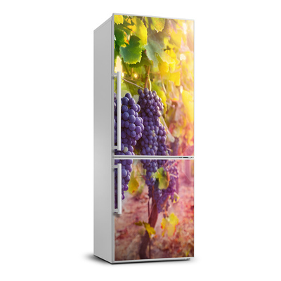 Nálepka na chladničku Príroda vinice
