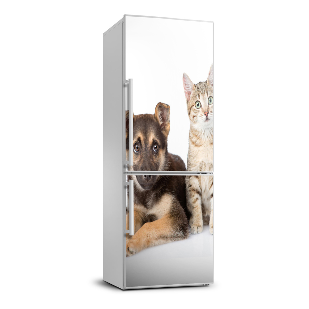 Foto nálepka na chladničku stenu Pes a mačka