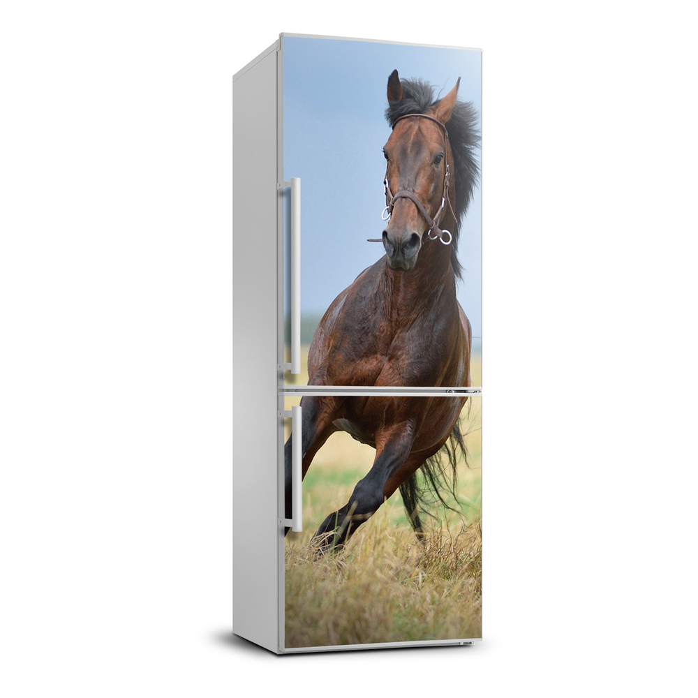 Foto tapeta na chladničku Kôň na poli