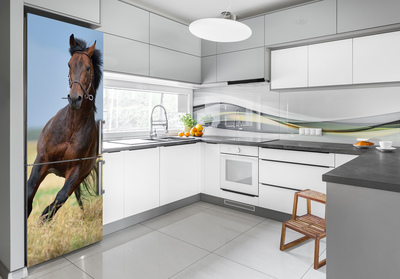 Foto tapeta na chladničku Kôň na poli