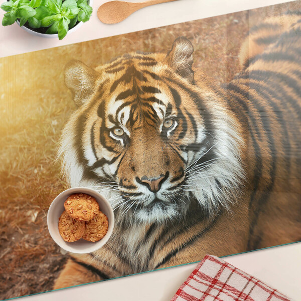 Sklenená doska na krájanie Tiger v slnečných lúčoch