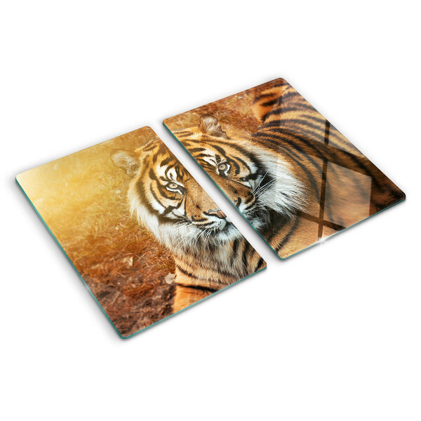 Sklenená doska na krájanie Tiger v slnečných lúčoch