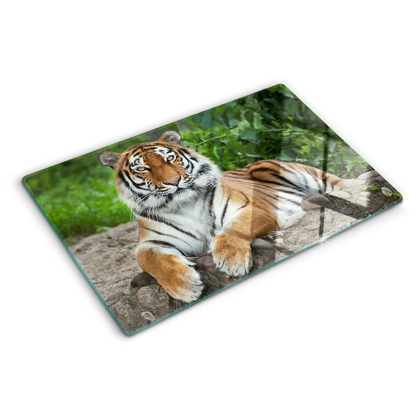 Sklenená doska na krájanie Tiger v jeho prirodzenom prostredí