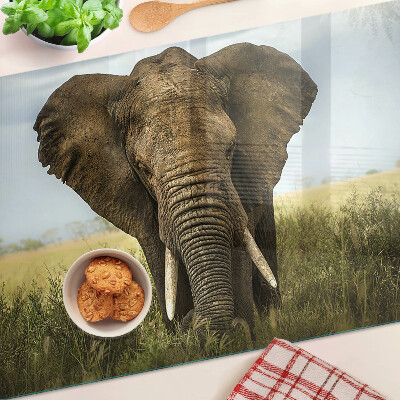 Sklenená doska na krájanie Slon na pozadí africkej savany