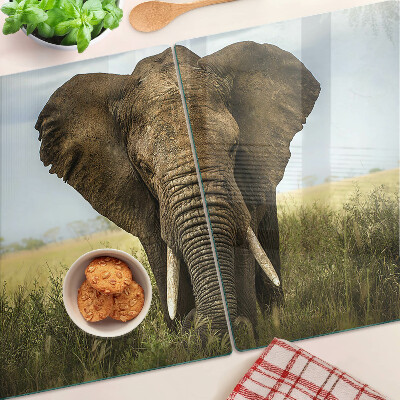 Sklenená doska na krájanie Slon na pozadí africkej savany