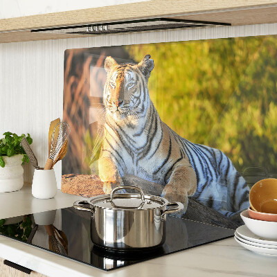 Sklenená doska na krájanie Tiger na pozadí prírody