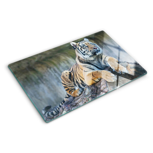 Sklenená doska na krájanie Tiger na kmeni stromu