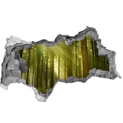 Samolepiaca nálepka betón Zelený les ráno