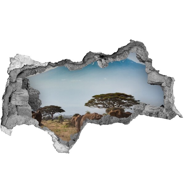 Diera 3D fototapeta Africká savana so slonmi