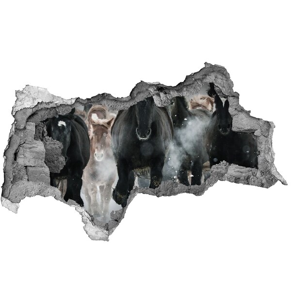 Fototapeta diera na stenu Kone cválajúce cez múr