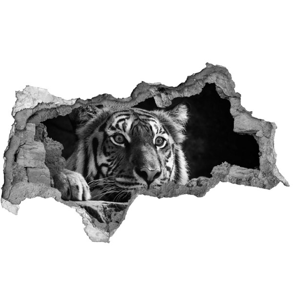 Diera 3D fototapeta nálepka Tiger v diere v stene
