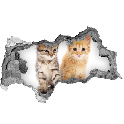 Diera 3D fototapeta na stenu Hnedé a zázvor cat