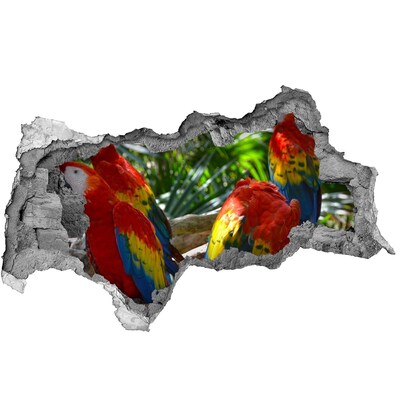 Diera 3D fototapeta nálepka Papagáje ara