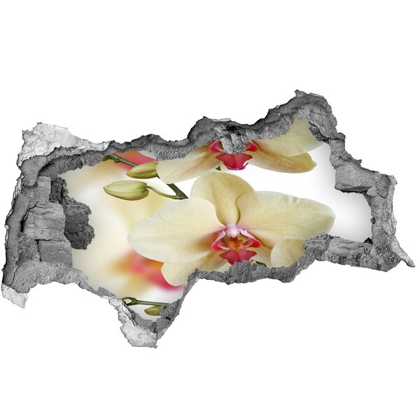 Fototapeta nálepka na stenu Orchidey v rozbitej stene
