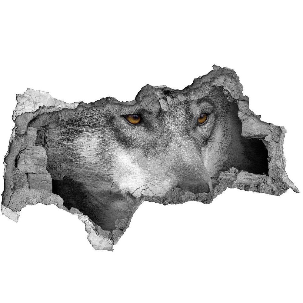 Diera 3D fototapeta na stenu nálepka Vlk