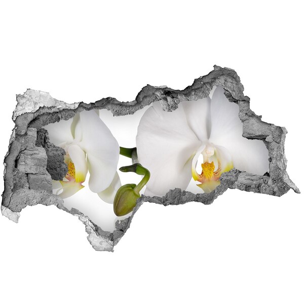 Samolepiaca nálepka fototapeta Orchidea