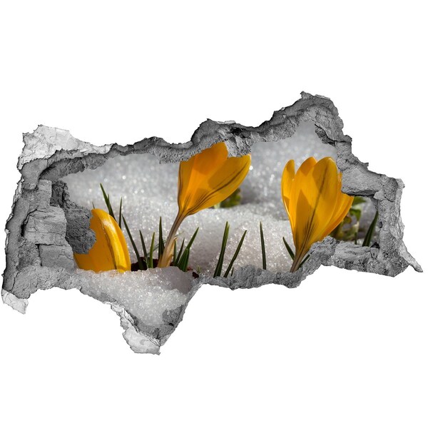 Samolepiaca nálepka fototapeta Crocus v snehu