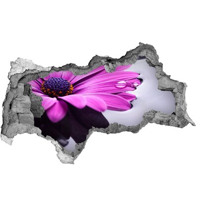 Samolepiaca nálepka fototapeta Kvetinová oáza za múrom