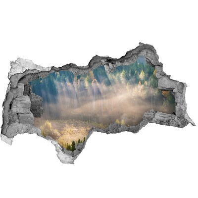 Fototapeta diera na stenu Lesná krajina za múrom