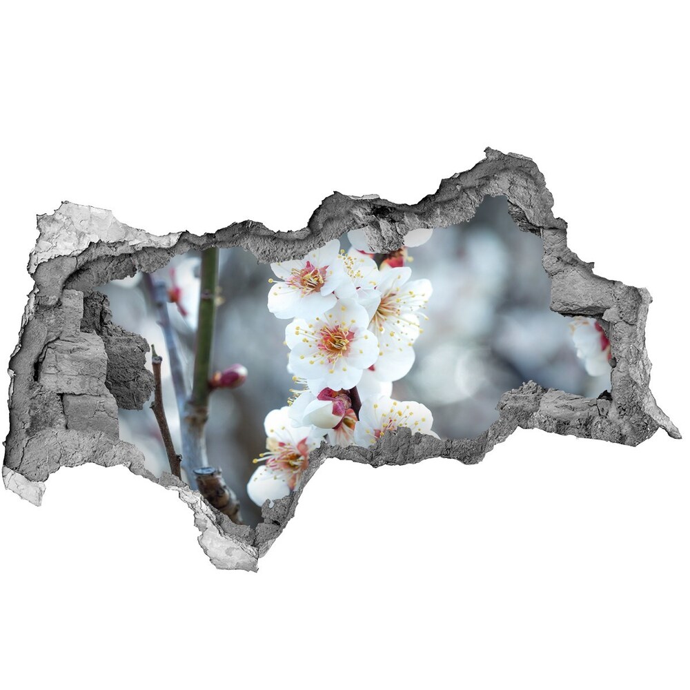 Samolepiaca nálepka fototapeta Čerešňové kvety