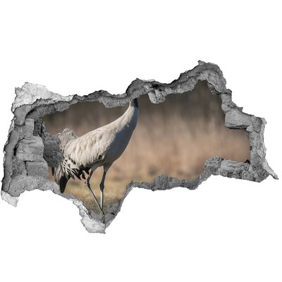 Diera 3D fototapeta nálepka Volavka