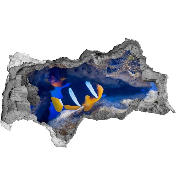 Diera 3D fototapeta nálepka Podvodný svet koralového útesu