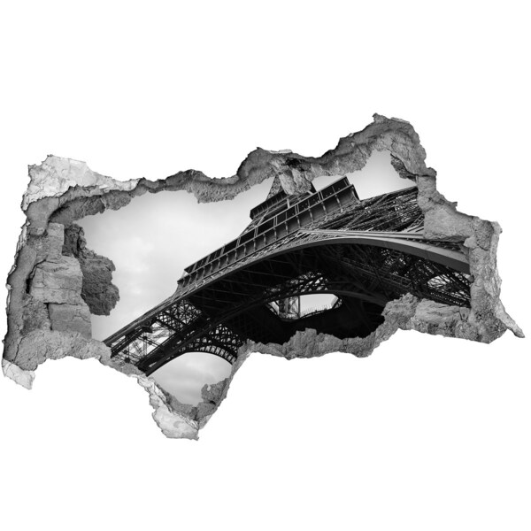Fototapeta diera na stenu Eiffelova veža v monochromatickom prostredí