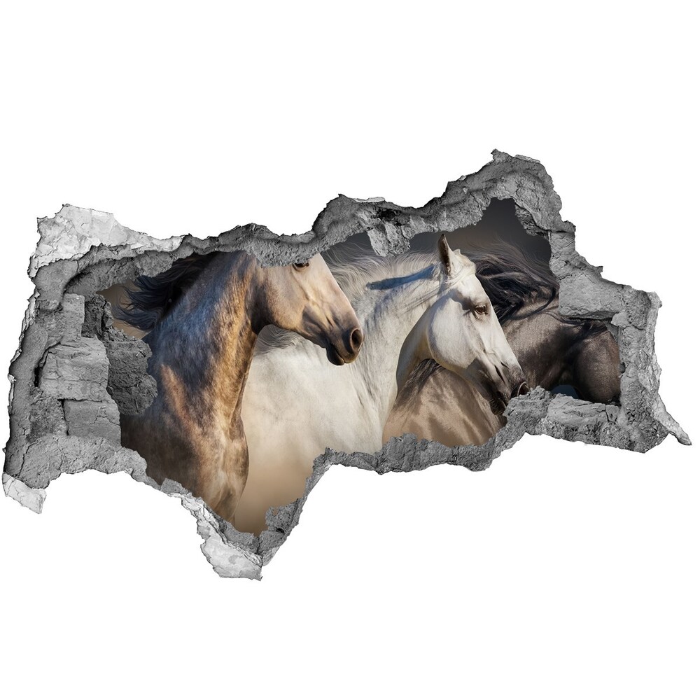 Diera 3D fototapeta nálepka Cválajúca kone