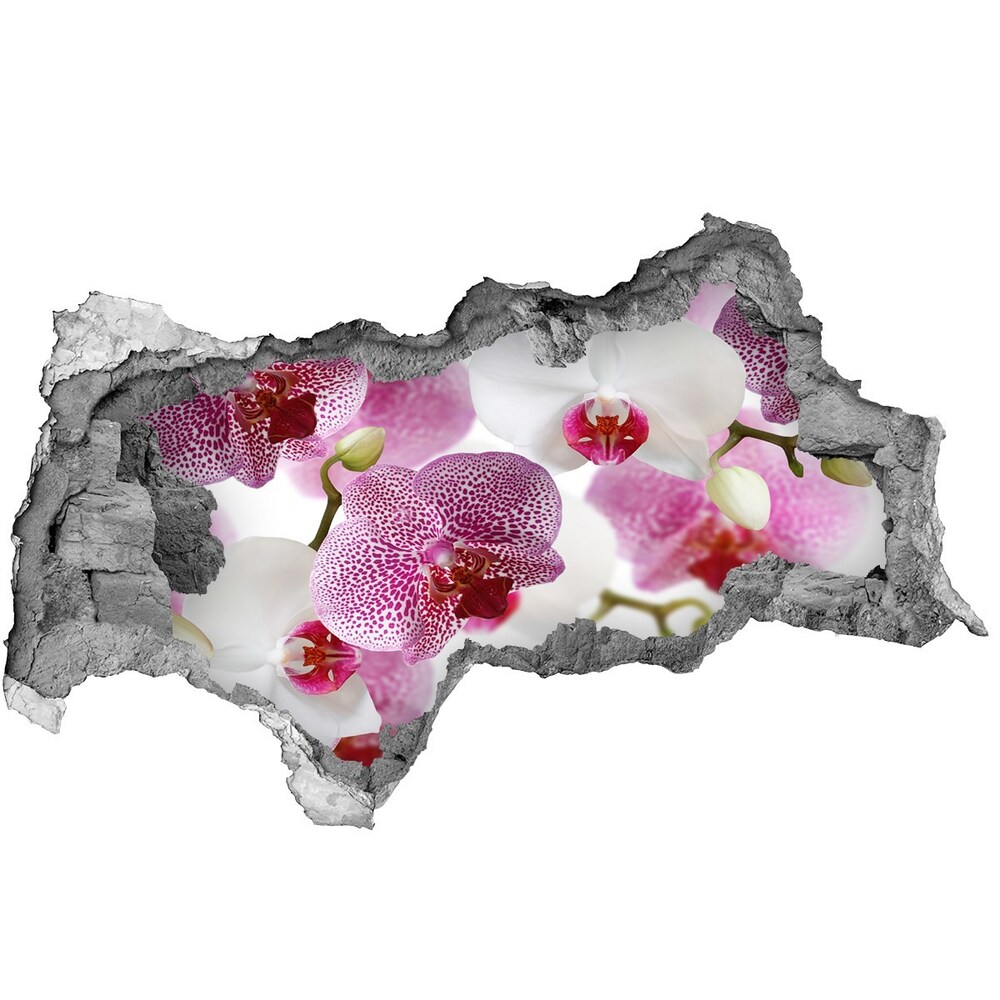 Fototapeta nálepka na stenu Nástenné maľby orchidea