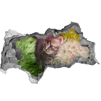 Diera 3D fototapeta nálepka Mačiatko s púpavy
